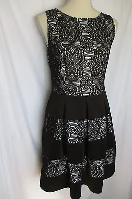 AA Studio Dress 6 Black Lace Knee Lace Fit Flare Knit Party Career Goth • $19.99