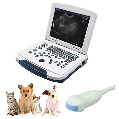 DAWEI Veterinary Laptop Ultrasound Machine Scanner Micro-Convex Probe VET/Animal • $1299