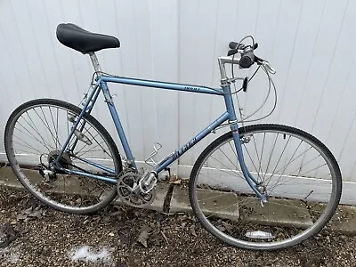 MIYATA Two Ten Triple Butted Sport Touring Road Bike World Class Miyata Mens • $250