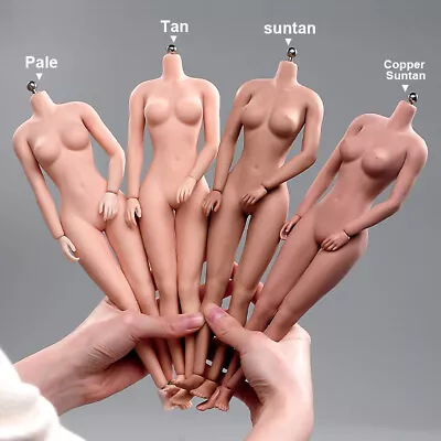 1/6 Suntan/Pale/Normal Large Bust Breast Seamless Body For 12''Female Figure Toy • $39.99