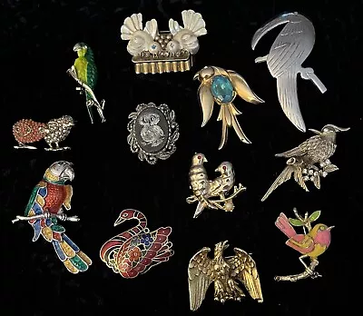 12 Vintage & Contemporary Birds Brooch Pin Lot Some Signed As-is • $36