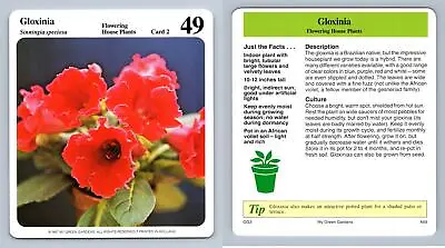 £1.25 • Buy Gloxinia #2 Indoors - My Green Gardens 1987 Cardmark Card