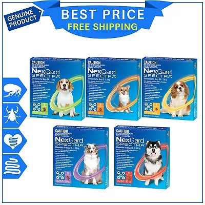 NEXGARD SPECTRA Flea Heartworm Tick And Worm Control 6 Doses For All Sizes Dogs • $90.99