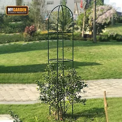 Outdoor Garden Metal Obelisk Tubular Stand Frame Climbing Plant Support Trellis • £12.95