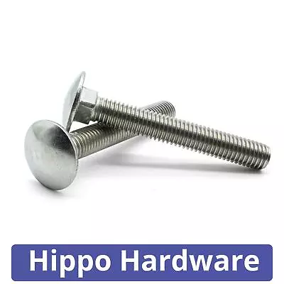 M5 M6 M8 M10 Carriage Bolts Cup Square Dome Coach Screws A2 Stainless Steel • £5.87