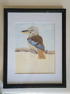 Original - Kookaburra - Polychromos Pencil Art On Bristol Vellum Paper- Unframed • $70