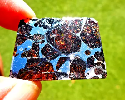 Rarely Seen - 6.58 Gram - PALLASOVKA (PALLASITE) METEORITE Slice - Russia 1990 • £157.66