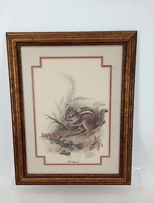 Vtg Framed And Matted R J McDonald Print  The Chipmunck   Signed & Initialed. • $45