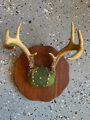 Vintage Deer Antler  Wall Mount Decor Cabin Art Plaque • $24.99