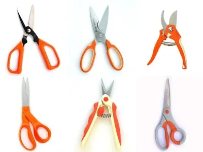 Floristry Scissors And Tools For Floral Work And Garden Use Val Spicer • £4.83