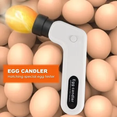 Egg Candler Tester Rechargeable Wireless Cool Light Incubator Candling Lamp S7R4 • £11.99