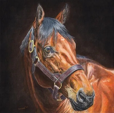 Original Painting Portrait Of Thoroughbred Racehorse American Pharoah • £170