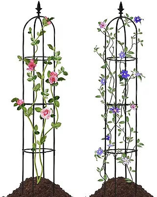 Garden Obelisk Trellis 69inch/6ft  Climbing Vine Rose Clematis 2 Pack • £34.19