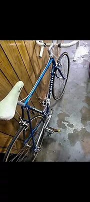 Bicycle Pinarello • $450