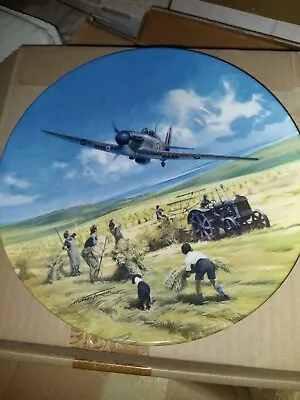 £3 • Buy Royal Doulton Collectors Plate Heroes Of The Skys “Hurricane Victory Pass”