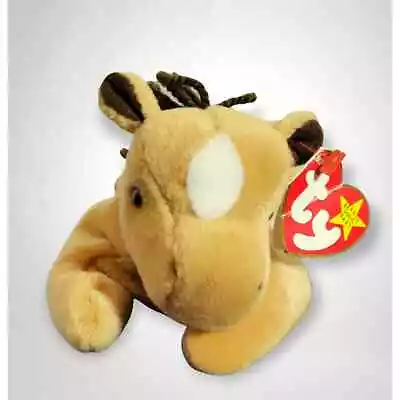 TY Beanie Baby - DERBY The Horse (with Star) 4th Gen Tush Tag 5th Gen Hang Tag • $10.40