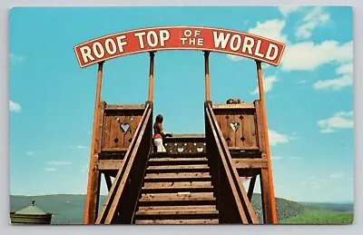 Rooftop Of The World Flagstaff Park Mauch Chunk PA Observation Tower Postcard • $6.50