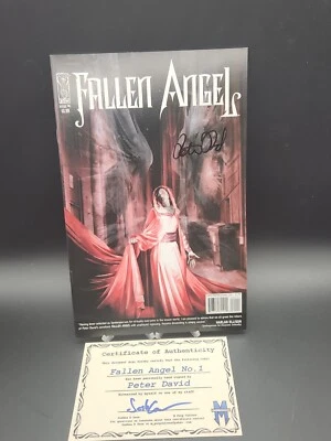 Fallen Angel #1 Signed By. Peter David. IDW. With COA. Mint Comic • £198.30