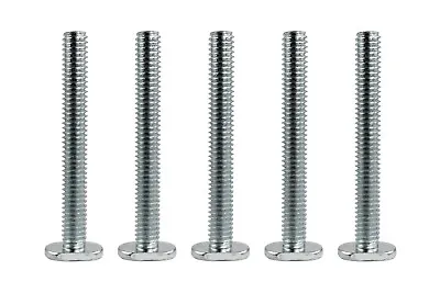 Taytools T Bolt For Jig Fixture & T Track 5/16-18 Thread 2-1/2  & 3-1/2  5 Piece • $8.99