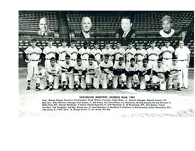 1961 Vancouver Mounties Vintage Baseball 8x10 Team  Photo Braves • $5.95