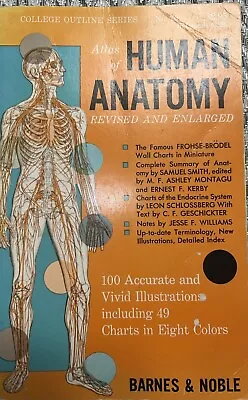 Atlas Of Human Anatomy Sixth Edition (Vintage Paperback Book) - 1961 • $9.99