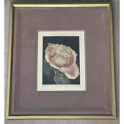 Rare Mezzotint Limited Edition “Spanish Rose” By G.H. Rothe • $550