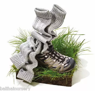 £17 • Buy HJ Hall Protrek Merino Boot Socks HJ213 Merino Wool Mix Size 6-11 Grey Marl 