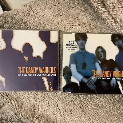 The Dandy Warhols Not If You Were The Last Junkie On Earth - 1998 CD 1 & 2 • £1.50