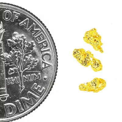 0.2066 Gram Alaska Natural Gold Nuggets - (#77205) - 4pcs Alaskan Gold Nuggets • $0.01