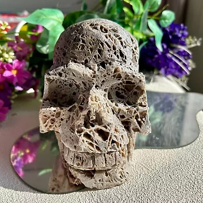 2695g Large Natural Sphalerite Quartz Skull Carving Mineral Specimens Display • $245