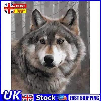 Painting By Numbers Kit DIY Gray Wolf Hand Painted Canvas Oil Wall Art Picture U • £8.99