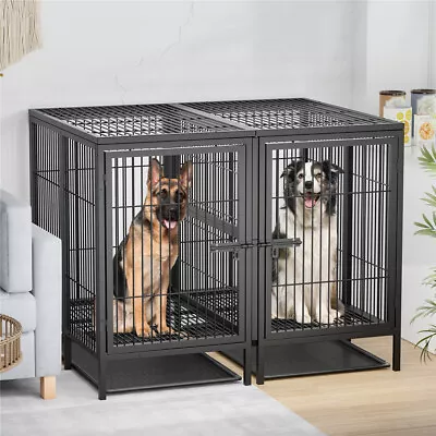 Bingopaw 53  Heavy Duty Dog Kennel Divided Dog Cage Pet Crate For 2 Large Dogs  • $459.96