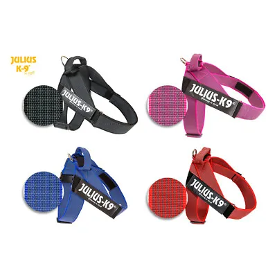 Julius-K9 Color & Gray IDC® Dog Puppy Belt Harness Adjustable Strong Free UK P&P • £19.99