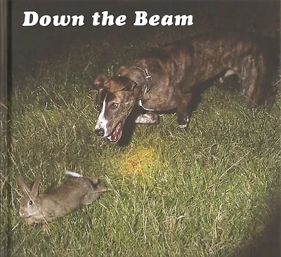 DARCY JONATHAN TERRIERS AND LURCHERS BOOK DOWN THE BEAM Hardback NEW • £53.45