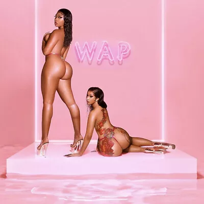 Cardi B & Megan Thee Stallion Art Music Album Canvas Poster HD Print 12 16 20 24 • $6.07