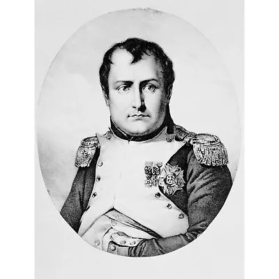 Painting Draw Portrait Napoleon Bonaparte French Emperor Hero France Fine Art Pr • £11.99