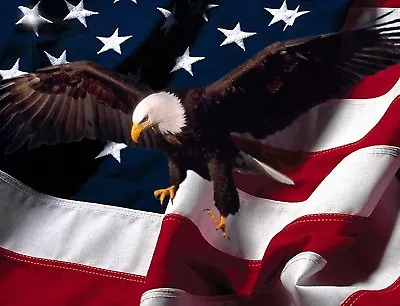 TIN SIGN  US Bald Eagle Wings  Flag  Patriotic Garage Wall Decor USA Army Navy • $7.35