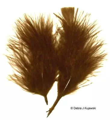 Quality Marabou Feathers BROWN Fluffy 3-8  L  7 Grams Approx 35 Ct • $3.15