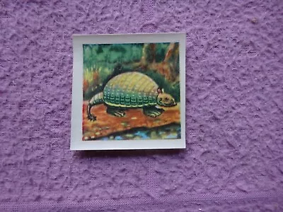 Dandy Gum - Prehistoric Animals Serie (transfer)  #15 Glyptodont  Gd / Vg • £5.45