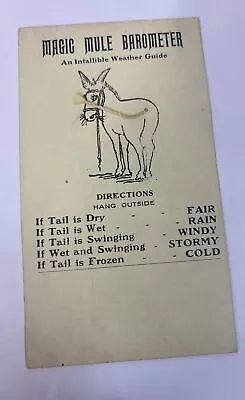VTG Postcard Magic Mule Barometer An Infallible Weather Guide Unposted • $5