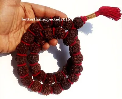 RARE 5 Mukhi Rudraksha Five Face Rudraksh 32+1 Nepal 20-22 MM Beads Kantha Mala  • $29.90