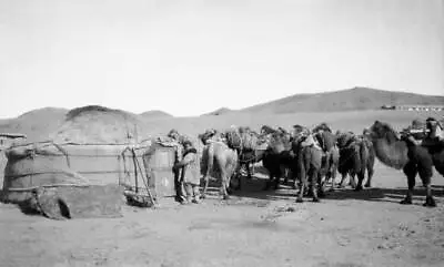 Mongolian Camp Composed A Yurt A Typical Tent Nomadic Asian Pe- 1931 Old Photo • $5.79