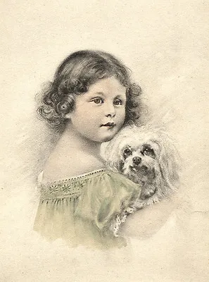 Maltese Charming Dog Greetings Note Card Little Girl Hugs Dog • $3.11