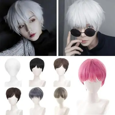 Cosplay Men'S Wig Short Hair COS Wig Men Women Short Straight Hairp Sell • $9.36