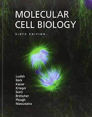 Molecular Cell Biology - Hardcover By Lodish Harvey Berk Arnold - Acceptable N • $8.06