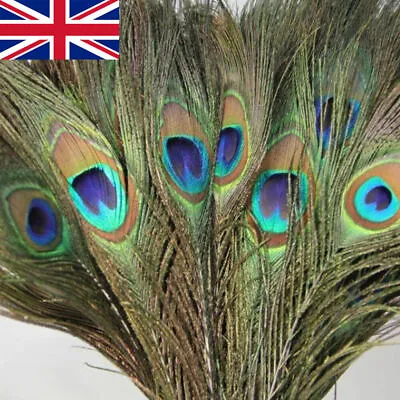 10Pcs/Pack Peacock Feathers Tail Natural 25-30cm Long For Bouquet DIY Decoration • £4.97