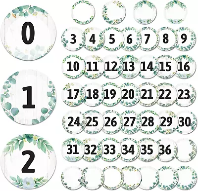 49Pcs Numbers Magnetic Accents Eucalyptus Round Magnetic Numbers 0-36 With 12 Bl • $17.99