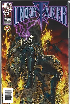 Undertaker #3 Art Cover (vf/nm) Wwf World Wrestling Federation Chaos Comic • £7.14