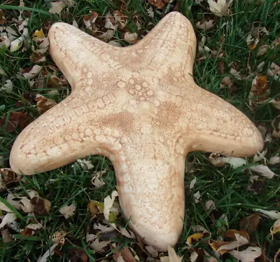 Large Starfish Plastic Mold Concrete Plaster Mould  17 X 17.5  Up To 2.25  Thick • $79.95