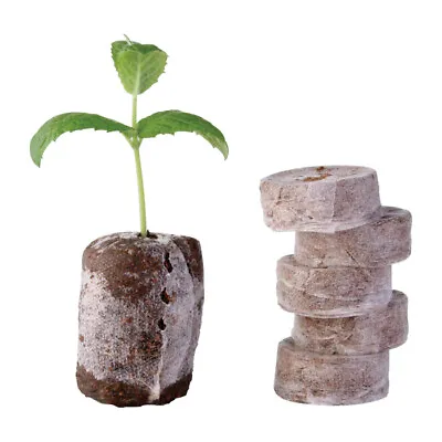 Jiffy Coco Pellets Peat Free Organic Seed Plug Propagation Compost 38 42 45mm • £5.10